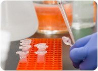 �P�������W